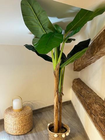 Le Bali By